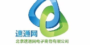 电子商务运营与推广 看准网上的实战指南