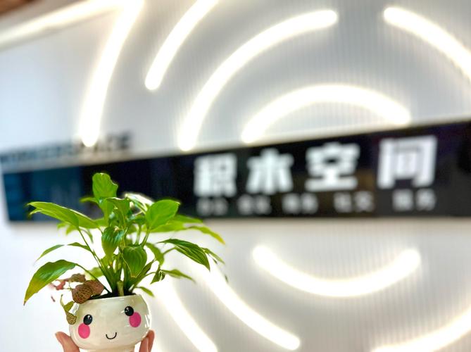 淄博网络营销推广工作室详解_电商运营公司简介更新)